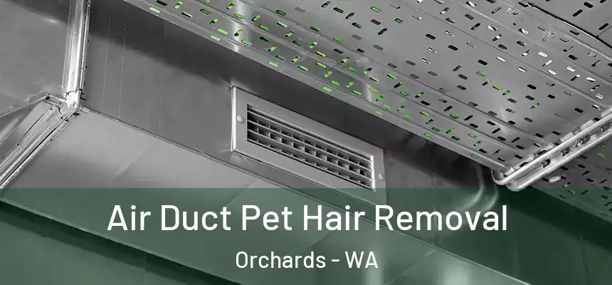  Air Duct Pet Hair Removal Orchards - WA