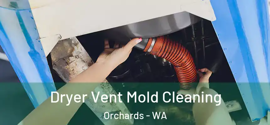  Dryer Vent Mold Cleaning Orchards - WA
