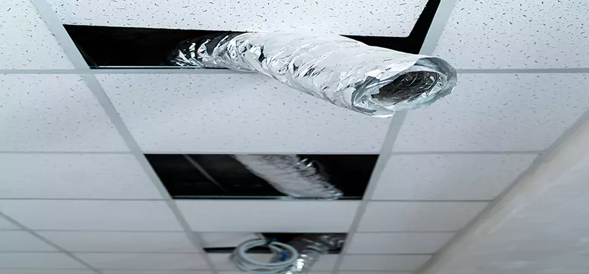 Affordable HVAC Sanitizing After Pest Removal in Orchards