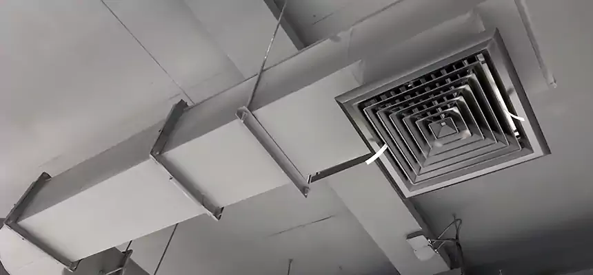 Our Pest Removal From Ducts Services in Orchards, WA