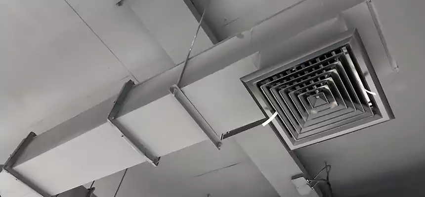 Our Rodent Droppings In Vents Services in Orchards, WA