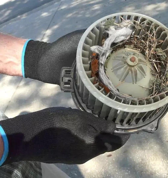 About Air Duct Rat Removal in Orchards, WA