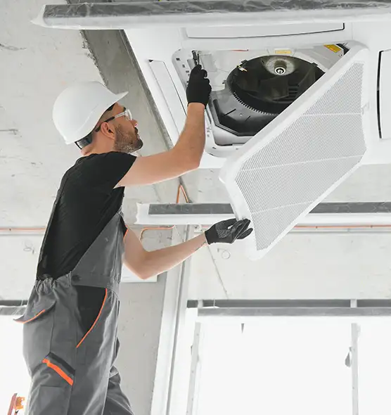 About Air Duct Rodent Removal in Orchards, WA