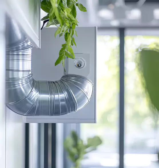 Professional Eco-Safe Dryer Vent Cleaning in Orchards, WA