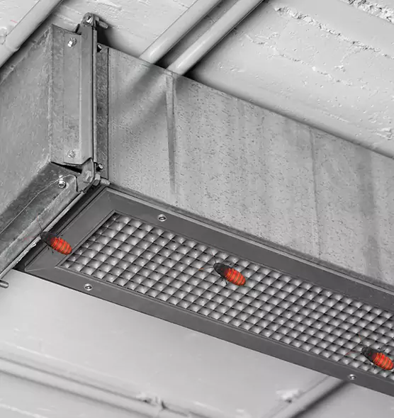 Affordable Insect Removal from Air Ducts in Orchards, WA