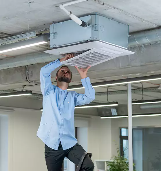 Advanced Rodent Droppings In Vents in Orchards, WA