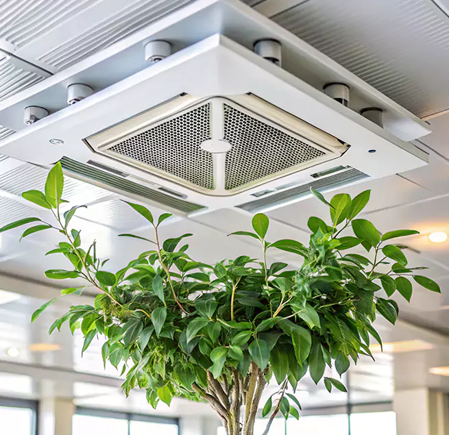 Why Homeowners & Businesses Trust Us in Orchards, WA?