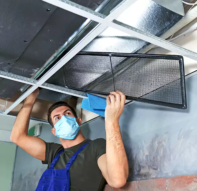 Why Homeowners Businesses Trust Us in Orchards, WA